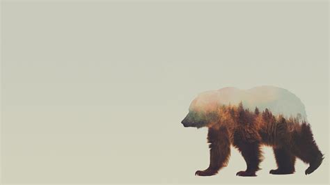 1129584 Animals Double Exposure Grizzly Bear Andreas Lie Bear