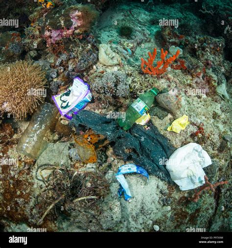 Underwater Photo Of Plastic Trash Pollution On The Seabed On A Coral