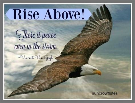 Do eagles really fly above storms? SunCrow Flutes | My Thoughts: Rise Above the Storm | Bald eagle, Eagle images, Animals