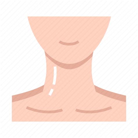 Facial Muscles Face Human Body Head And Neck Anatomy