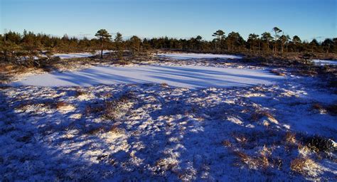 Photo Of Field Covered With Snow · Free Stock Photo