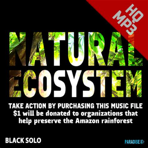 Here you can download natural sounds in high quality for free and without registration. Natural Ecosystem - MP3 - A song by Black Solo and Christopher Nao