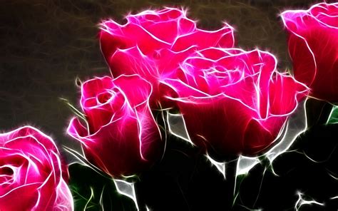 Hot Pink Roses Roses Wallpaper 11661786 Fanpop