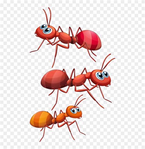 Red Ant Cartoon Free Transparent Png Clipart Images Download