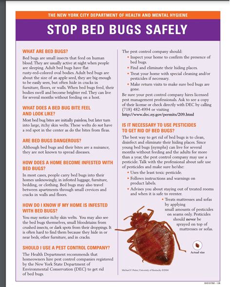 Bed Bugs Guide And Flyers