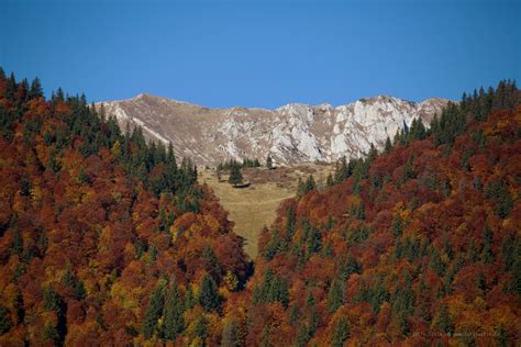 Peisaje Din România Natura Sălbatica Munți Dealuri Păduri