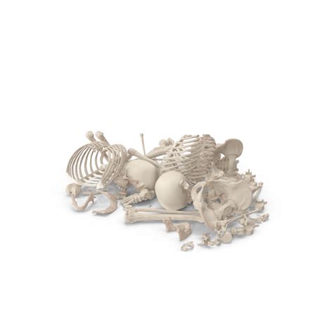 Skeleton Pile Of Bones Png Images And Psds For Download Pixelsquid