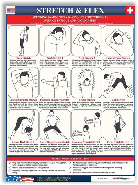 Amazon Com Stretch Flex Poster Fully Laminated X Minute Stretching Guide For