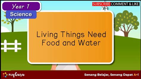 Their philosophy is all about healthy, real food; Year 1 | Science | Living Things Need Food and Water - YouTube