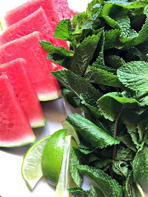 Watermelon Mojitos - a purdy little house | Watermelon drink, How to grow watermelon, Watermelon