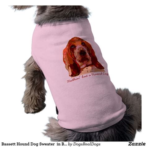Bassett Hound Dog Sweater In Bright Colours Pet Portrait Paintings Pet