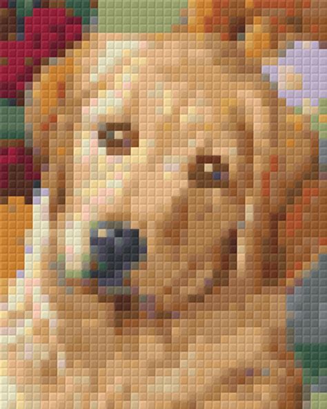 Golden Retriever One 1 Baseplate Pixelhobby Mini Mosaic