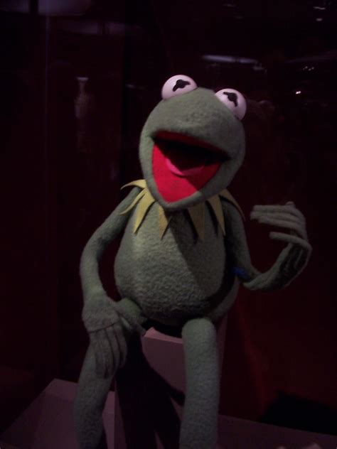 Kermit In The Smithsonian Waldies World Flickr