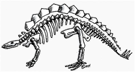 Check spelling or type a new query. Dinosaur Skeleton Clipart - Clipart Suggest