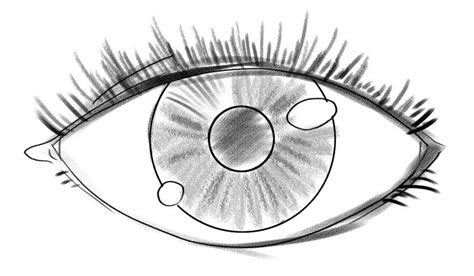 How To Draw Eyes In 7 Steps A Visual Guide