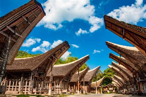 Rumah Adat Toraja Beserta Nama Gambar Jenis Dan Penjelasannya Blog