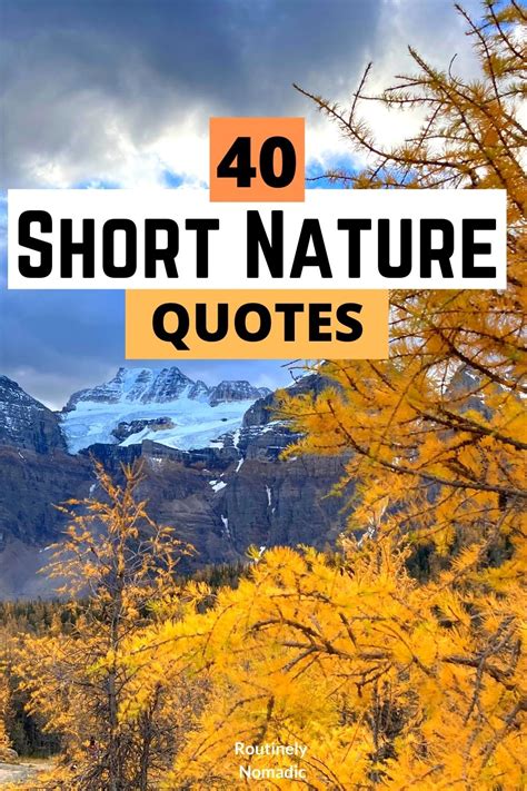 53 Short Nature Quotes Best Inspirational Thoughts On Nature Routinely Nomadic
