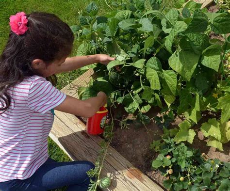 Gardening With Kids And Grandkids 10 Simple And Amazing Steps