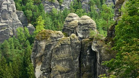 Schweizer nationalpark in lärchenwäldern und an berghängen. Nationalpark Sachsische Schweiz em Bad Schandau, Alemanha ...