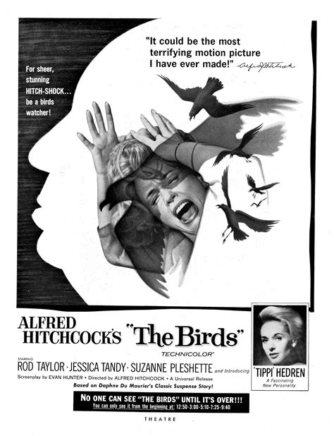 Jaquettecovers Les Oiseaux The Birds Par Alfred Hitchcock