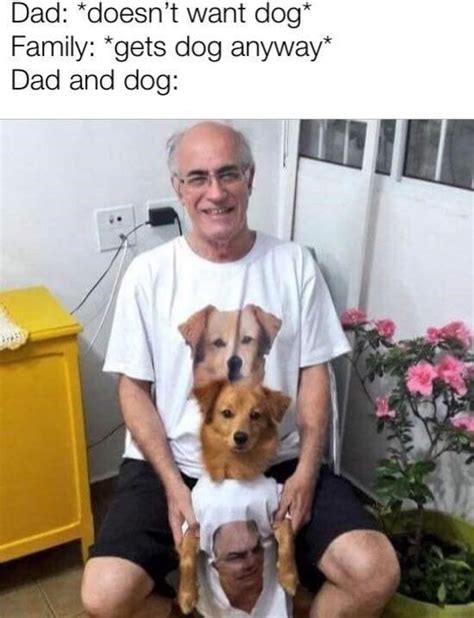 28 Dog And Dad Memes 2022