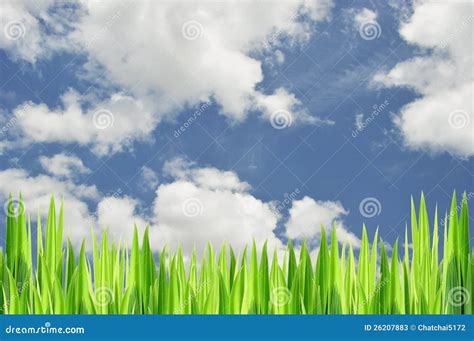 Grasses And Sky Stock Image Image Of Colorful Abstraction 26207883