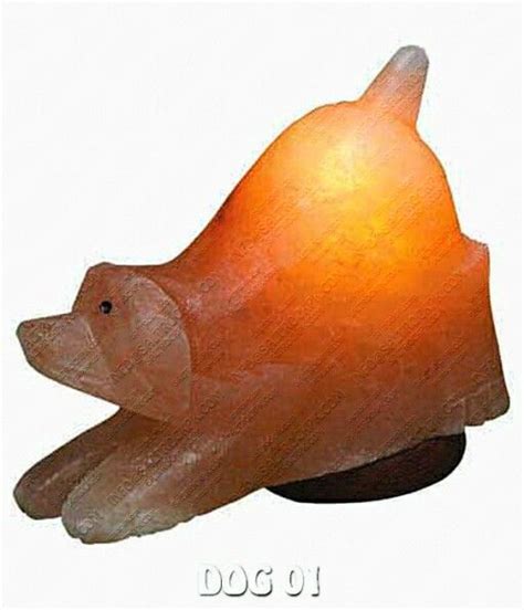 People who use pink himalayan salt lamps say that they help to increase blood flow, reduce allergy symptoms and even help to get a better sleep. Pin by saltrockpk on animal shaped salt lamps | Himalayan ...