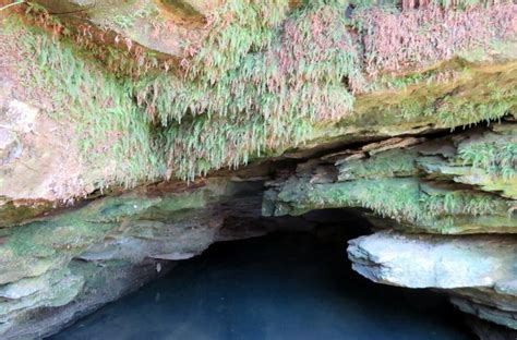 Water Rocks And Moss At Cave Spring Pasquo Usa Travellerspoint