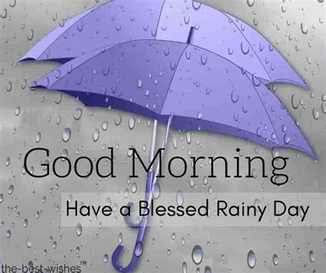 Rainy Day Blessings Images Viral And Trend