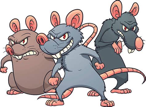 Ratten Clipart Free Cliparts Download Images On Clipground