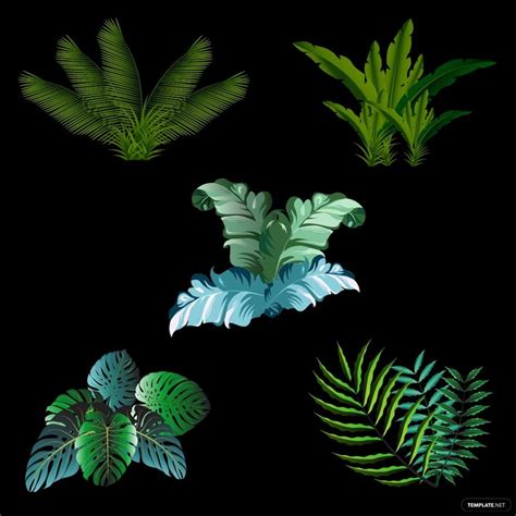 Palm Leaves Vector In Illustrator Svg Eps Png  Download