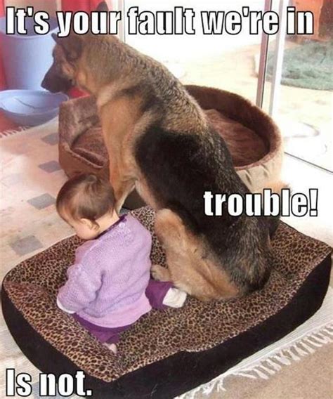 Funny Quotes About Getting In Trouble Quotesgram