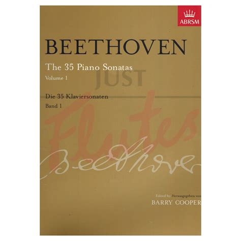 The 35 Piano Sonatas Volume 1 Includes Cd L Van Beethoven Just Flutes