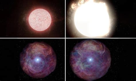 Video Astronomers Watch Red Supergiant 10x Bigger Than Our Sun Explode