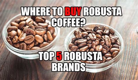 buy robusta coffee