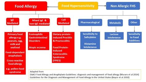 Food Allergy Bsaci