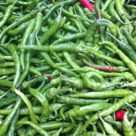 Maybe you would like to learn more about one of these? Green Cayenne Chile Peppers | Stuffed peppers, Cayenne ...