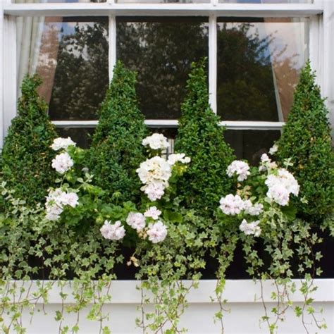 13 Colourful Gardening Ideas For Window Boxes Good