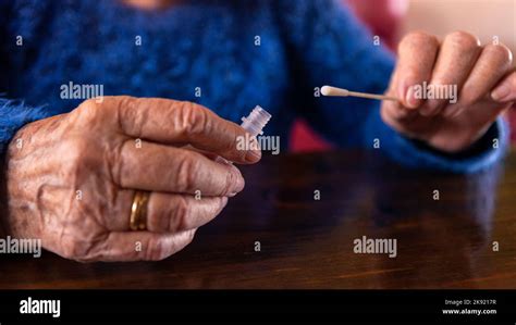 Caucasian Old Woman Holding A Cotton Swab For Nose To Collect A