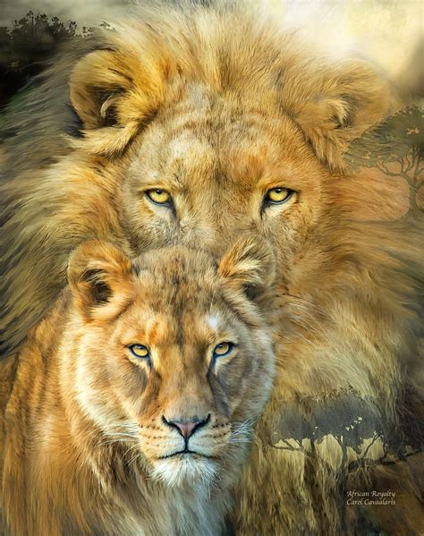 Lion And Lioness African Royalty By Carol Cavalaris African Royalty