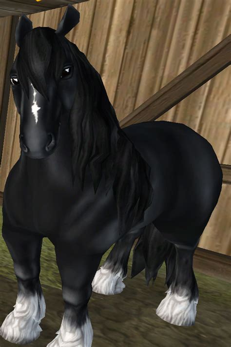 shire  star stable