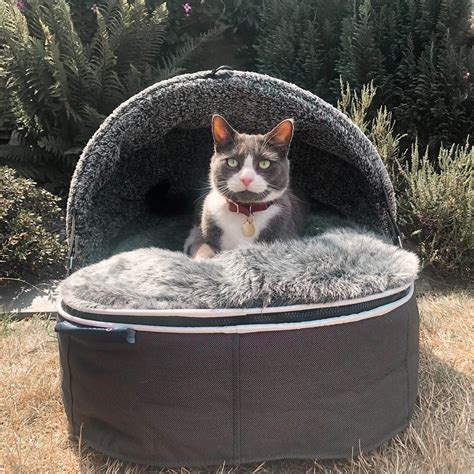 Pet Beds Designer Cat Beds Luxury Convertible Hooded Bed By Ambient