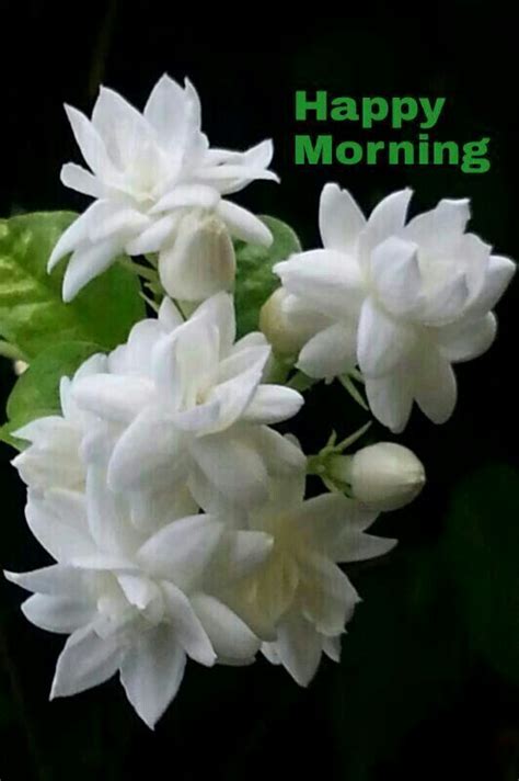I just wanted to wish you a great day ahead. Pin on hi