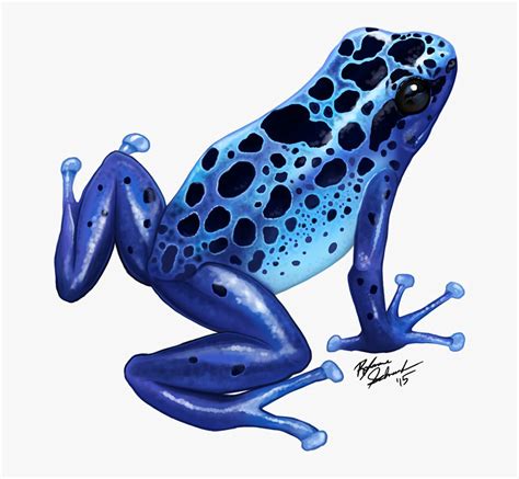 Frog Clipart Blue Pictures On Cliparts Pub 2020 🔝