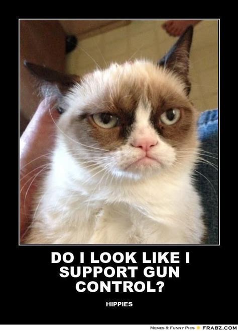 Grumpy Cat Lol Grumpy Cat Funny Couples Memes Funny Cartoon Quotes