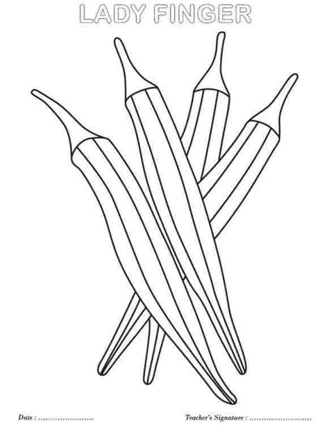 Okra Coloring Page Free Sketch Coloring Page