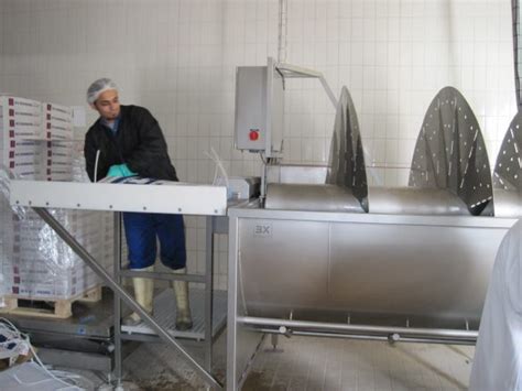 Defrosting Machines For High Quality Production Eurofish