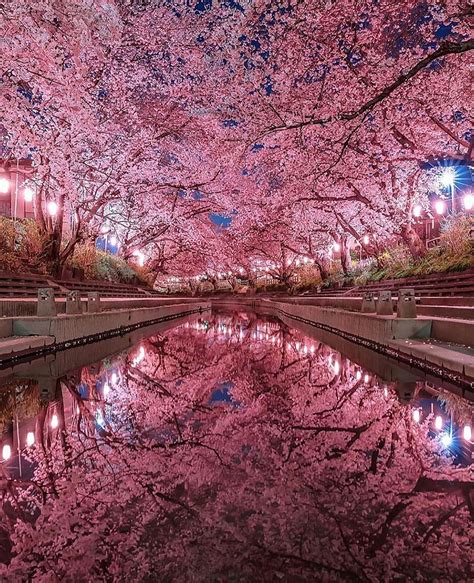 Japan Cherry Blossom Street Raining Scenic Pretty Relax For Imac
