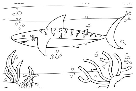 Tiger Shark Migration Coloring Page Free Printable Coloring Pages