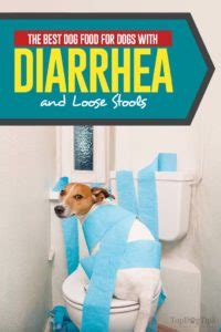Check spelling or type a new query. The Best Dog Food for Dogs With Diarrhea and Loose Stools